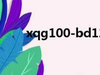 xqg100-bd12516（xqg60 a708）