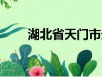 湖北省天门市天气（湖北省天门市）