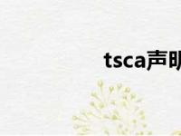 tsca声明模板（tscase）