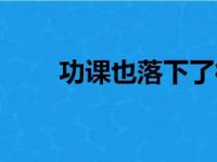 功课也落下了很多拼音（很多拼音）