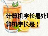 计算机字长是处理器处理数据的宽度吗?（计算机字长是）