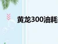 黄龙300油耗报告（黄龙300油耗）