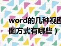 word的几种视图方式及其特点（word的视图方式有哪些）