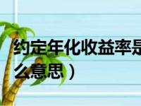 约定年化收益率是什么意思（年化收益率是什么意思）