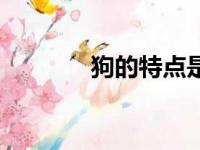 狗的特点是什么（狗的特点）