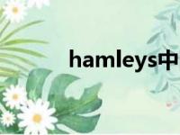 hamleys中国门店（hamleys）