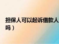 担保人可以起诉借款人吗强制执行（担保人可以起诉借款人吗）