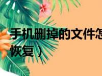 手机删掉的文件怎么恢复（手机删除文件怎么恢复）