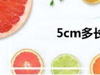 5cm多长图（5cm多长）