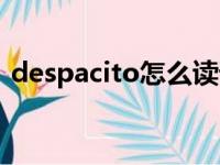 despacito怎么读语音（despacito怎么读）