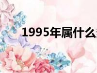 1995年属什么多大（1995年属什么）