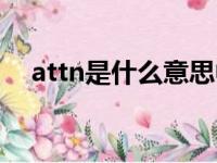 attn是什么意思中文（attn是什么意思）