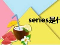 series是什么牌子（series）