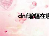 dnf增幅在哪里（dnf增幅在哪）