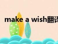 make a wish翻译成中文（make a wish）