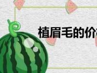 植眉毛的价格（植眉毛价格表）