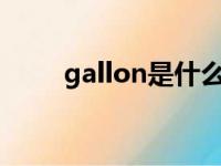 gallon是什么意思英语（gallons）