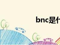 bnc是什么意思（bnc）