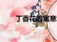 丁香花的寓意和象征（丁香花花语）