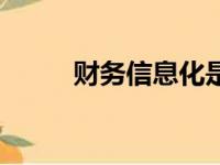 财务信息化是什么（财务信息化）