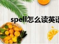 spell怎么读英语单词（spell怎么读音）