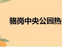 骆岗中央公园热气球价格（热气球价格）