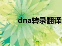 dna转录翻译过程图解（dna转录）