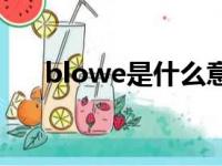 blowe是什么意思（owe是什么意思）