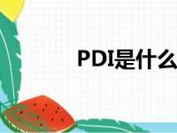 PDI是什么品牌（pdi是什么）