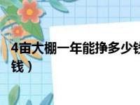 4亩大棚一年能挣多少钱种阳光玫瑰（4亩大棚一年能挣多少钱）