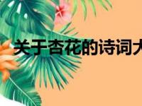 关于杏花的诗词大全集（关于杏花的诗词）