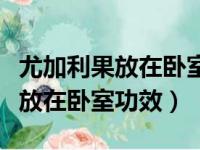 尤加利果放在卧室功效净化空气么（尤加利果放在卧室功效）