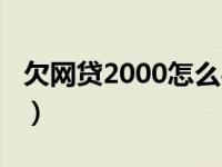 欠网贷2000怎么办（网贷欠款2000能立案吗）