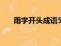 雨字开头成语500个（雨字开头成语）