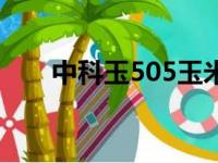 中科玉505玉米的缺点（中科玉505）