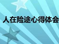 人在险途心得体会200字（人在险途观后感）