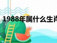 1988年属什么生肖年（1988年属什么生肖）