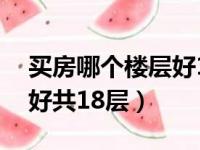 买房哪个楼层好18层好不好（买房子几楼最好共18层）