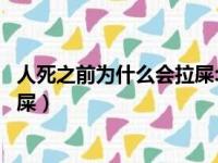 人死之前为什么会拉屎:原因是这样的（人死之前为什么会拉屎）