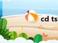 cd ts区别（cd ts）