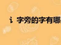 讠字旁的字有哪些（言字旁的字有哪些）