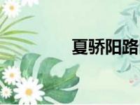 夏骄阳路臣（夏骄阳老婆）