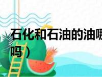 石化和石油的油哪个好（石油和石化可以混加吗）