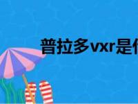 普拉多vxr是什么意思（普拉多vx）