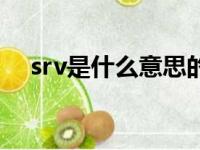 srv是什么意思的缩写（srv是什么意思）