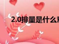 2.0排量是什么意思（排量是什么意思）