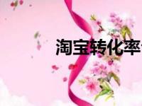 淘宝转化率公式（转化率公式）