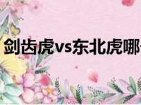 剑齿虎vs东北虎哪个厉害（剑齿虎vs东北虎）