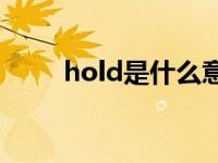 hold是什么意思（hit是什么意思）