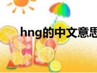 hng的中文意思（hing中文什么意思）